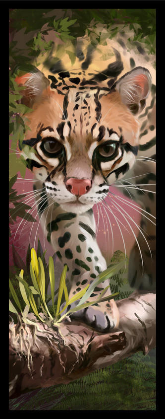 Sběratelská záložka - Divoké kočky 6