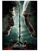 Puzzle Harry Potter: Harry vs Voldemort 1000 kusů (48 x 68 cm)