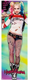 Plakát na dveře Suicide Squad: Harley Quinn (53 x 158 cm)