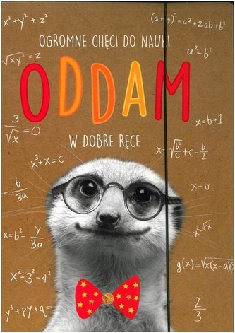 Teczka A4 z gumką Geniusz-02