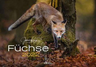 Füchse 2022
