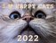 I love Happy Cats 2022