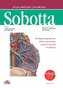 Atlas anatomii człowieka Sobotta. Angielskie mianownictwo. Tom 2.