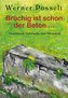 Brüchig ist schon der Beton ...