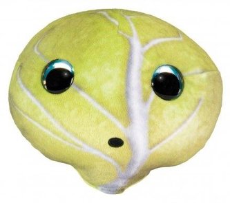 Lumo Stars Veggies and Berries Kapusta Teikku