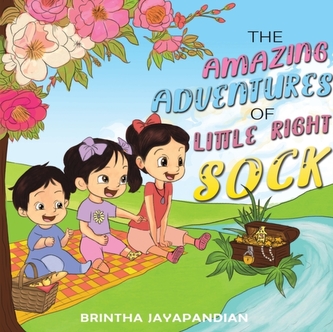 The Amazing Adventures of Little Right Sock The Amazing Adventures of Little Right Sock