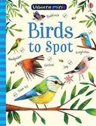 Birds to Spot