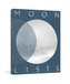 Moon Lists: Questions and Rituals for Self-Reflection: A Guided Journal