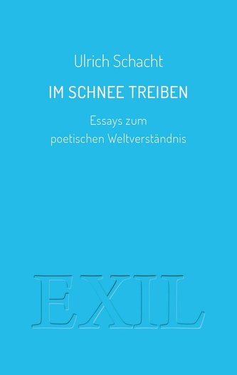 Im Schnee treiben