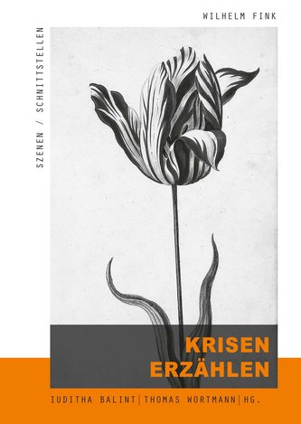 Krisen erzählen