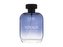Elode Voyage - EDT 100 ml man