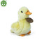 Plyšová kachna 12 cm ECO-FRIENDLY