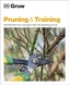 Grow Pruning & Training