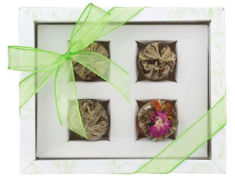 OXALIS Adikia bílá - set kvetoucích čajů