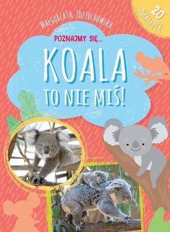 Poznajmy się... Koala to nie miś!