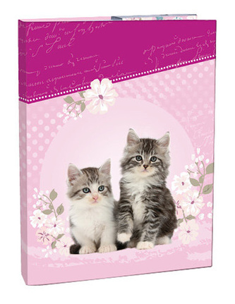 Box na sešity A4 Kitten STIL