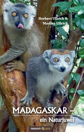 MADAGASKAR  -  ein Naturjuwel