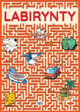 Labirynty
