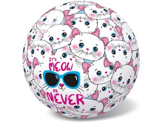 Míč kočičky - miláčci, 14cm