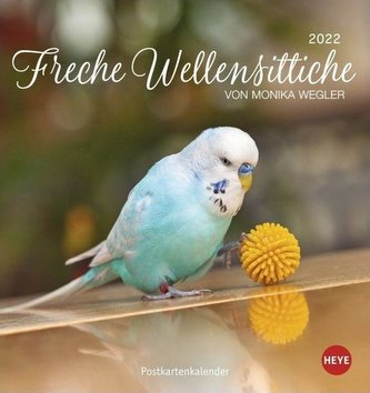 Freche Wellensittiche 2022 Postkartenkalender