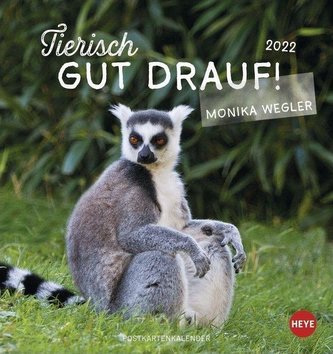Tierisch gut drauf 2022 Postkartenkalender
