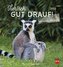 Tierisch gut drauf 2022 Postkartenkalender