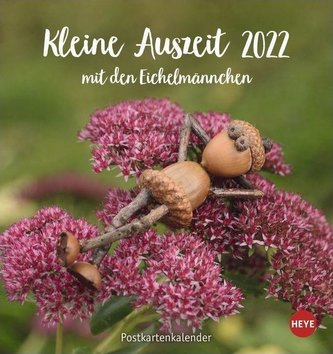 Eichelmännchen Postkartenkalender 2022