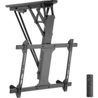 Držák TV STELL SHO 8101