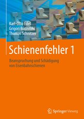 Schienenfehler 1