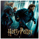Kalendář 2021 s plakátem: Harry Potter (30 x 30|60 cm)