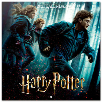 Kalendář 2021 s plakátem: Harry Potter (30 x 30|60 cm)