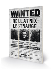 Obraz - malba na dřevě Harry Potter: Bellatrix Wanted (20 x 29,5 cm)