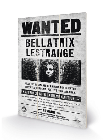 Obraz - malba na dřevě Harry Potter: Bellatrix Wanted (20 x 29,5 cm)