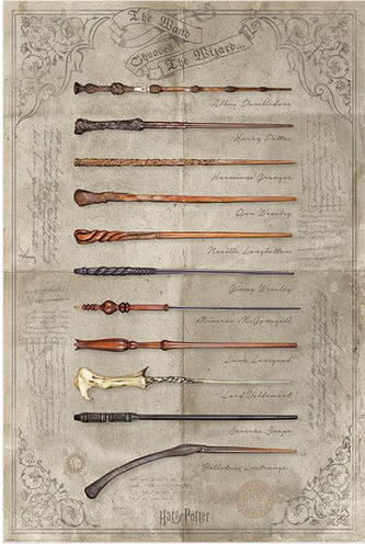 Plakát Harry Potter: The Wand Chooses The Wizard (61 x 91,5 cm) Plakát Harry Potter: The Wand Chooses The Wizard (61 x 91,5 cm)