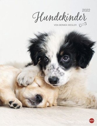 Hundekinder Posterkalender 2022