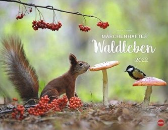 Märchenhaftes Waldleben 2022