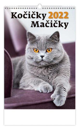 Kalendář nástěnný 2022 - Kočičky/Mačičky