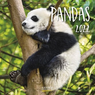 Pandas 2022