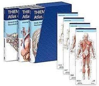THIEME Atlas of Anatomy, Latin Nomenclature, Three Volume Set, Third Edition