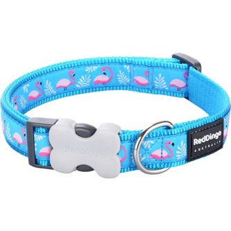 Obojek RD 12 mm x 20-32 cm - Flamingo Turquoise