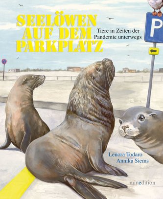 Seelöwen auf dem Parkplatz