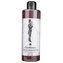 Bohemia Gifts Pánský vlasový šampon 250 ml Gentleman