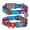 Obojek nylonový Waudog Summer QR (31-49cm/2,5cm)