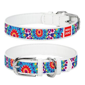 Obojek kožený Waudog Flowers bílý (30-39cm/2cm)