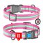 Obojek nylonový Waudog Glow růžový QR (31-49cm/2,5cm)