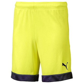 Pánské šortky Puma CUP Shorts, 704034-046|S
