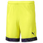 Pánské šortky Puma CUP Shorts, 704034-046|S