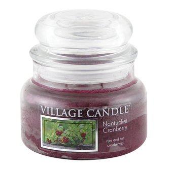 Svíčka ve skleněné dóze Village Candle Brusinka, 312 g