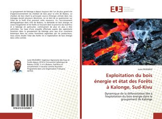 Exploitation du bois énergie et état des Forêts à Kalonge, Sud-Kivu