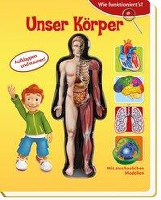 Wie funktioniert's? Unser Körper